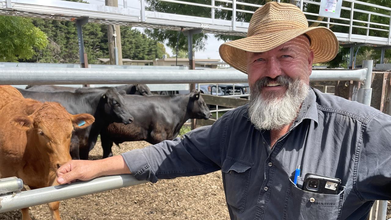 Kyneton store cattle: Small Christmas yarding sells firm | The Weekly Times