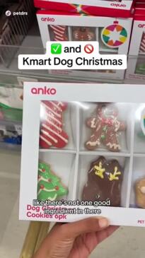 Kmart store christmas dog