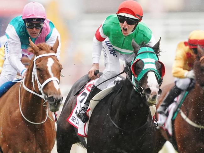 Several experts have questioned whether Japanese visitor Mer De Glace can run out Melbourne Cup journey.