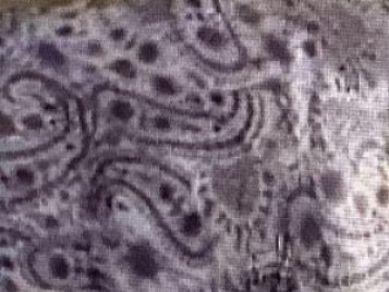 An image showing the pattern on the woman's shirt.