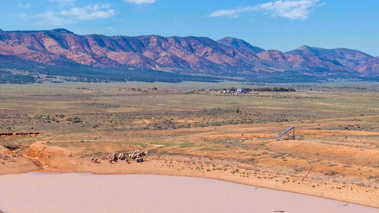 Aussie buyer snaps up historic outback SA station at auction