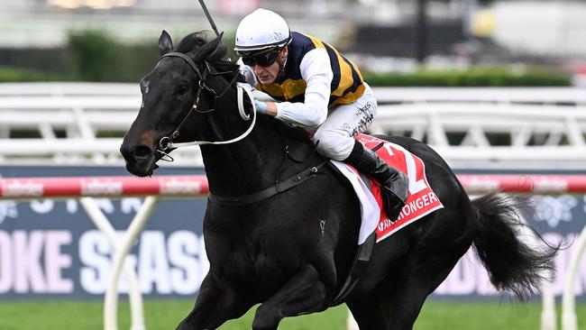 Runaway Queensland Derby winner Warmonger will start his Caulfield Cup bid with a trial at Cranbourne on Monday. Picture: Grant Peters / Trackside Photography