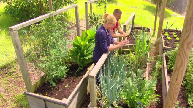 Pete Evans grows his own herbs and vegetables.