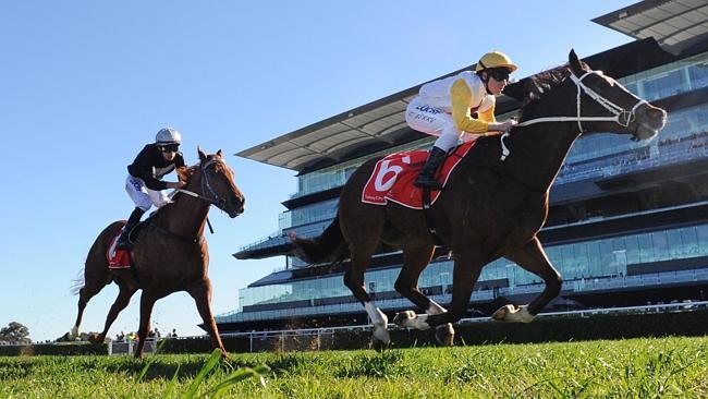 Field Marshall excels fresh and can finish strong late at Royal Randwick this afternoon.