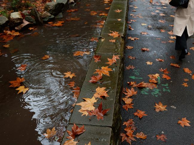 Sydney has just come out of a wet streak. Picture: NCA NewsWire / Max Mason-Hubers