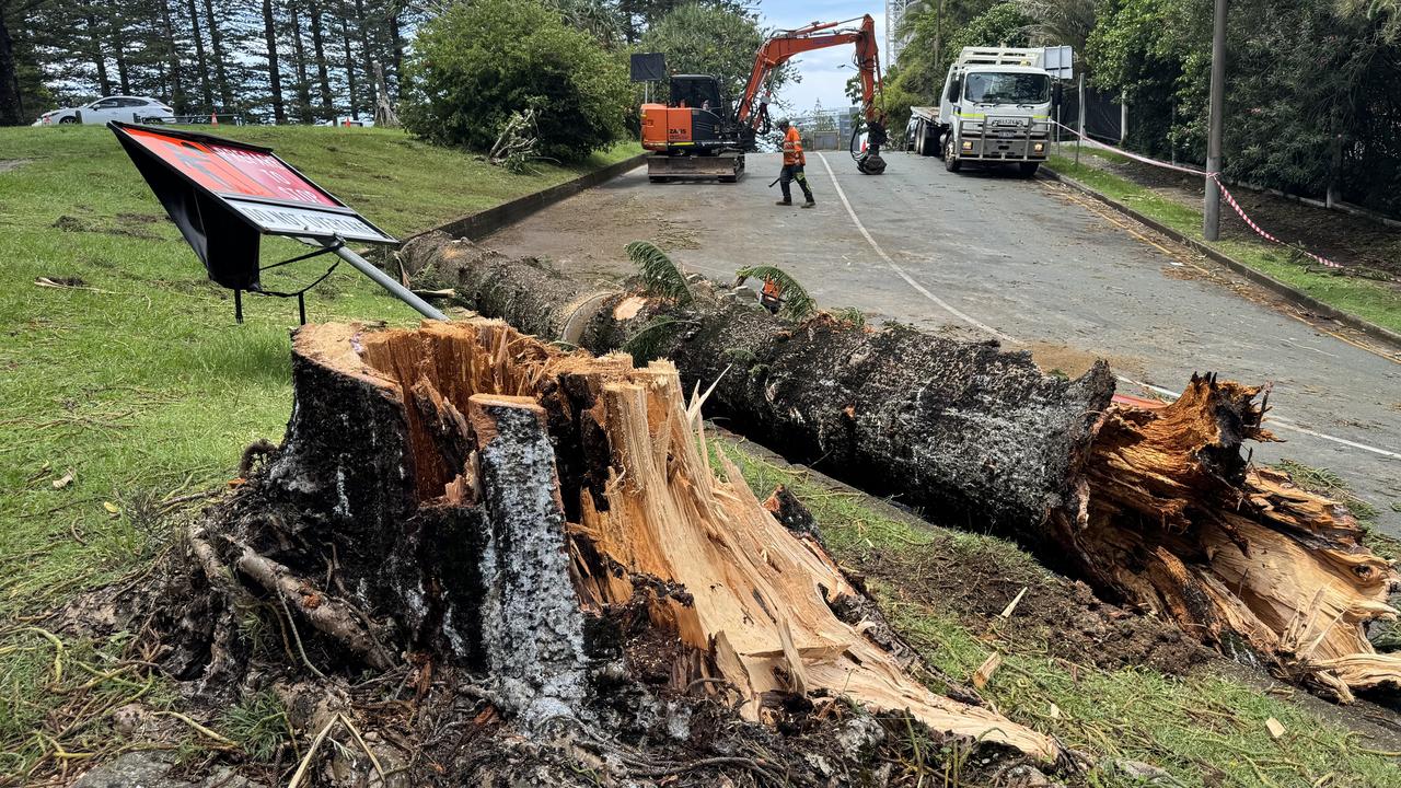 Marine Parade in Greenmount was closed when a giant Norfolk pine came down during the storm. Picture: Glenn Hampson.