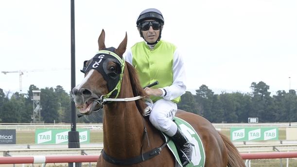 Danny Beasley continues his association with Another One. Picture: Bradley Photos