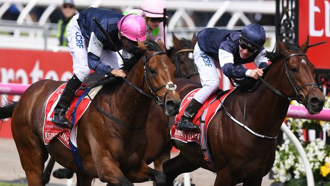 Rekindling and Johannes Vermeer are unlikely to line-up in this year’s Melbourne Cup. Picture: AAP