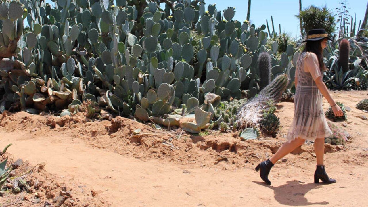 Cactus Country Garden Entry. Picture: Experience Oz