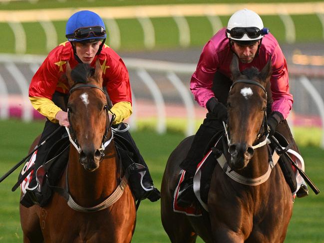 Militarize (left) and Fangirl will run in the Cox Plate.