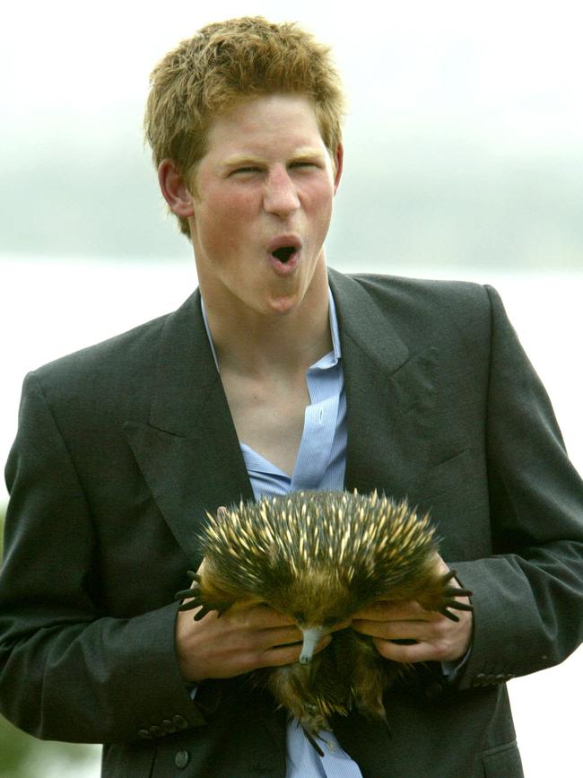 SEPTEMBER 23, 2003: Prince Harry meets 