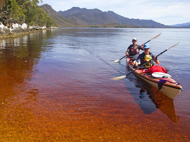 Roaring 40's Kayaking: Kayaking in Bathurst Harbour in Tasmania's South West Wilderness