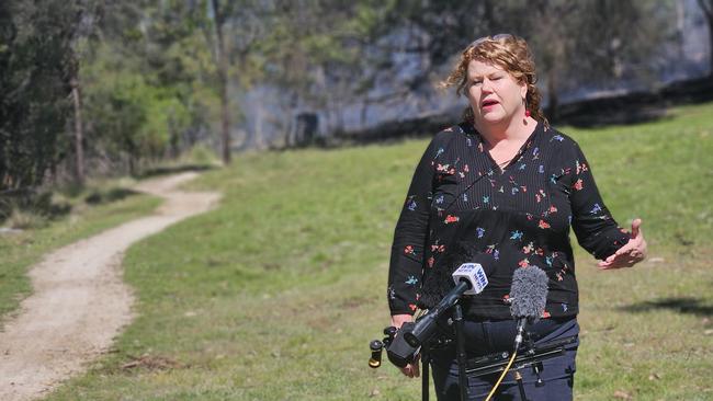 Hobart Lord Mayor Anna Reynolds speaks to the media about bushfire preparedness at Hobart Domain on Tuesday November 5, 2024.