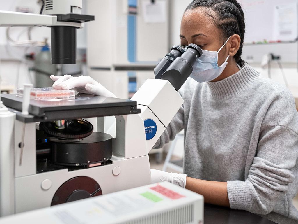 A cell culture technician, Raychel Lewis, tests COVID-19 samples from recovered patients at Mirimus lab in New York. Picture: Misha Friedman