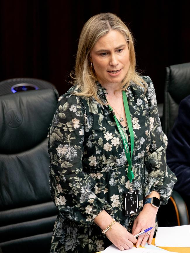 Independent member for Clark Kristie Johnston speaks in Parliament. Picture: Linda Higginson