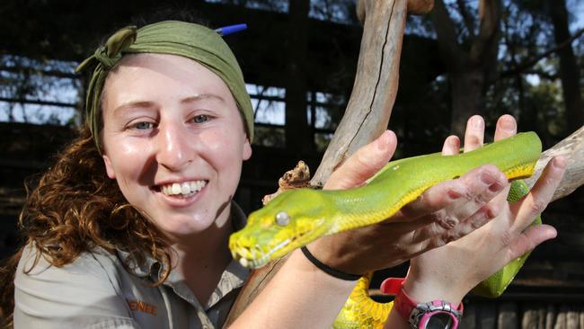 Australian Reptile Park's reptile keeper Renee Gomez with a green tree python. Picture: AAP/Mark Scott