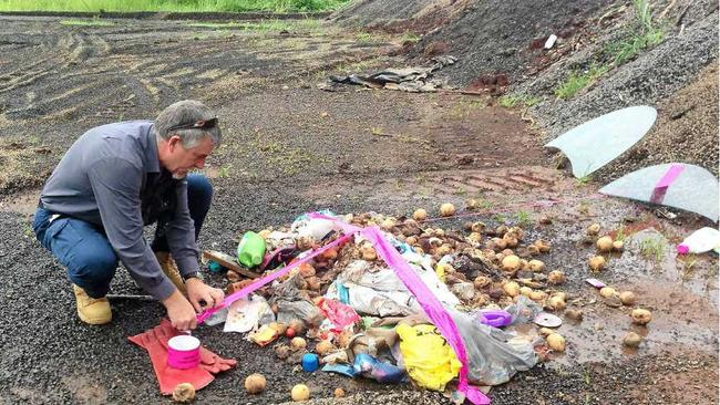 COLLECTING EVIDENCE: Phil Manning from Lismore City Council investigates dumped materials at Lindendale.