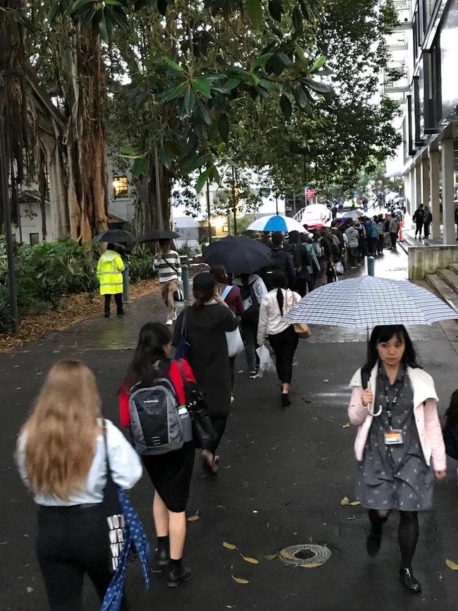 Umbrellas are important waiting this long in the rain.