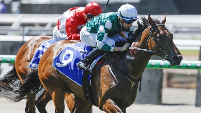 NCA. MELBOURNE. Melbourne Cup Day at Flemington Racecourse on November 05, 2024 in Melbourne, Australia.   Race 1. The Maribyrnong Plate.  Tycoon Star ridden by Michael Dee win the opening race  .  Picture: Michael Klein