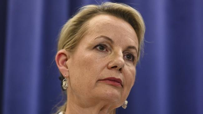 Deputy Opposition Leader Sussan Ley. Picture: NCA NewsWire / Martin Ollman