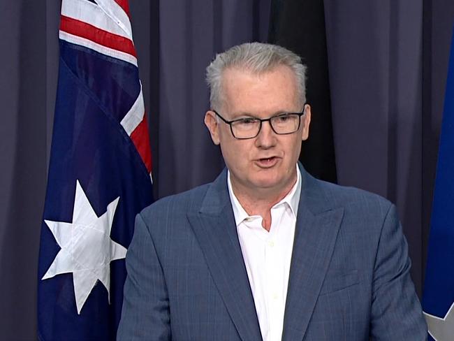 Home Affairs Minister Tony Burke. Picture: ABC News