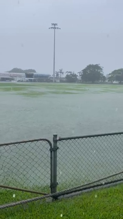 Griffith Park, Manunda - video credit - Peter Huey