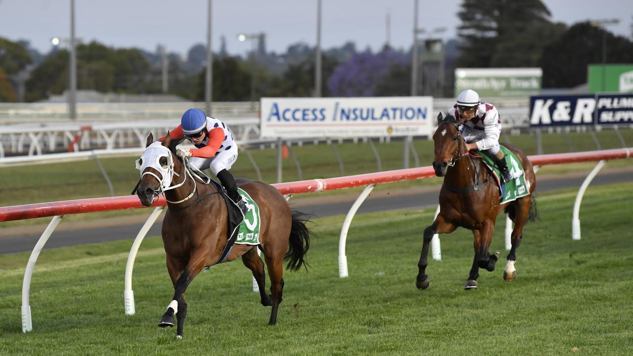 Josh Oliver guides Pieridae to victory in last night’s Class 3 Plate at Clifford Park. Picture: Kevin Farmer