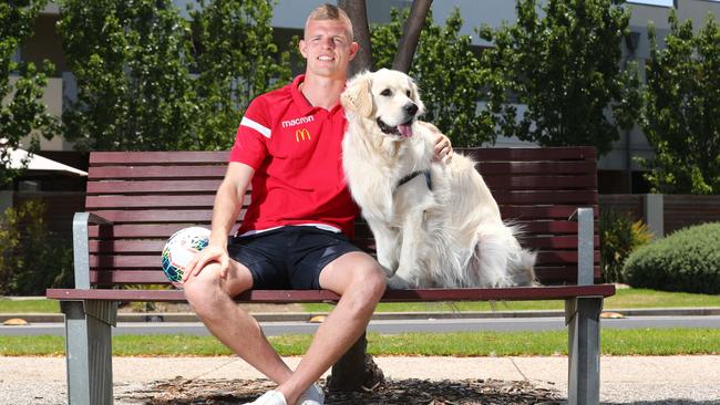 Adelaide United defender Jordan Elsey, pictured with his dog Bentley at Mawson Lakes, has racked up 100 games for the Reds, spread over 11 years at the club. Picture: Tait Schmaal