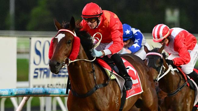 The Bear will be out to win the BJ McLachlan Stakes for trainer Sharryn Livingstone. Picture: Grant Peters/Trackside Photography