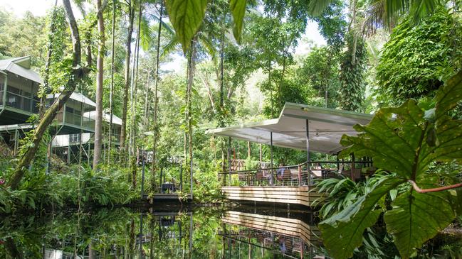 Tropical rainforest experience: Daintree Ecolodge.