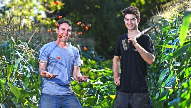 Matt Bakker and Micah Oberon on their urban farm in Corinda. Urban farmers are growing in demand, providing food produce for the city rather than being rural or remote. Picture: AAP/John Gass