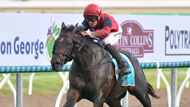 Bosustow is equal second favourite for the Stradbroke Handicap following his Gold Coast Guineas demolition last Saturday. Picture: Bethany Allday/Trackside Photography