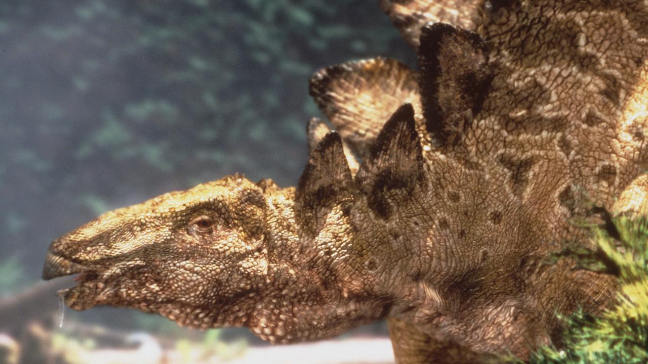 What a stegosaur could have looked like, as seen in the 1999 BBC fantasy documentary "Walking With Dinosaurs". Picture: BBC
