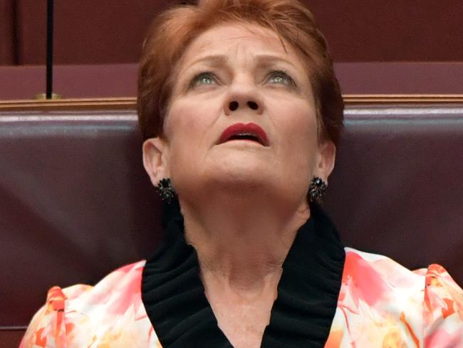 CANBERRA, AUSTRALIA - DECEMBER 09: Senator Pauline Hanson in the Senate at Parliament House on December 09, 2020 in Canberra, Australia. The Morrison government will seek to abolish the Ã¢â¬Åbetter off overall testÃ¢â¬Â for prospective enterprise agreements under its omnibus industrial relations package, which the ABC reports will be unveiled in full today. (Photo by Sam Mooy/Getty Images)