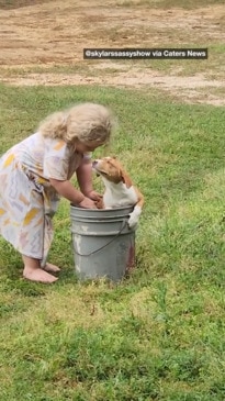 Little girl gives dog the best bath ever