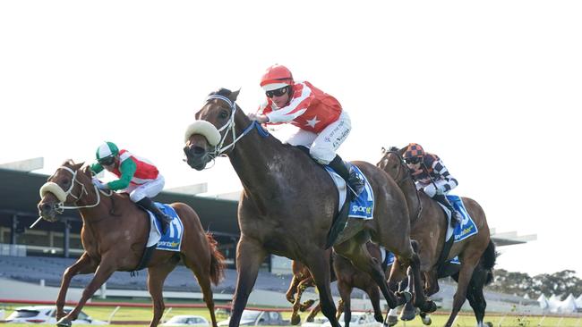 Desert Lightning (NZ) ridden by Luke Nolen wins the Sportsbet Sandown Stakes at Sportsbet Sandown Hillside Racecourse on September 28, 2024 in Springvale, Australia. (Photo by Scott Barbour/Racing Photos via Getty Images)