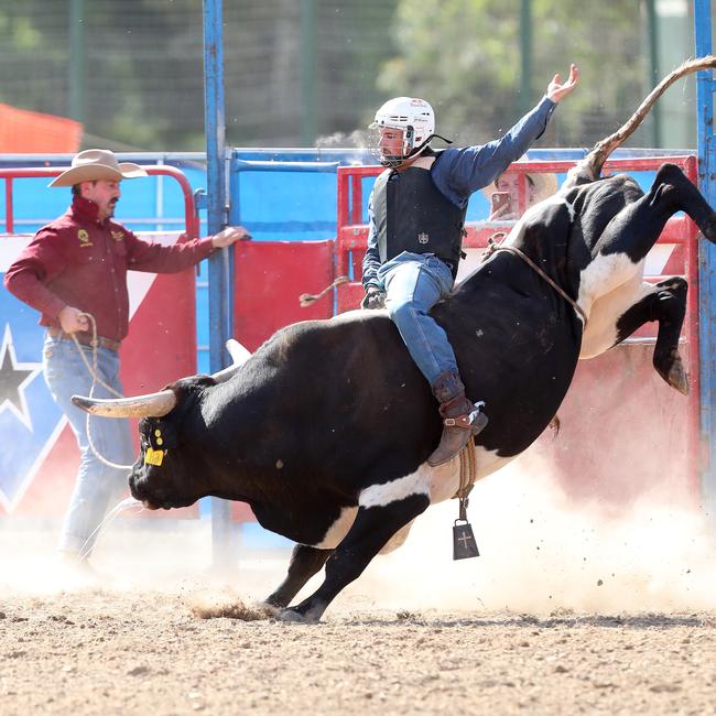 The bull ride thrilled spectators.