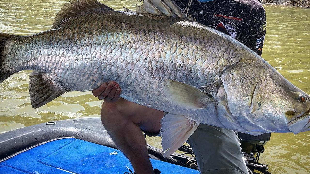 Million dollar barra: Greg Fry catches $10,000 barra at Manton Dam | NT ...