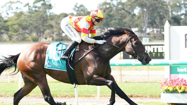 Coco Sun winning at Bendigo earlier this month. Picture: Scott Barbour/Racing Photos