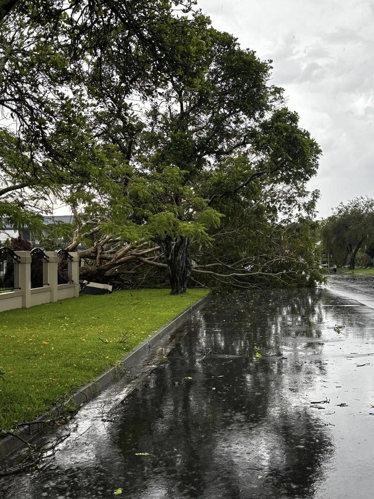 Trees down in Currumbin Waters. Picture: Zoe DB / Palm Beach–Currumbin–Elanora Residents community Group