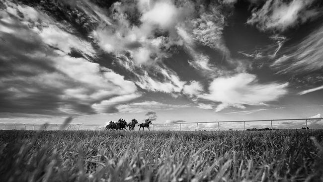 The racecourses of England were the backdrop for many Australian scams. Picture: Getty