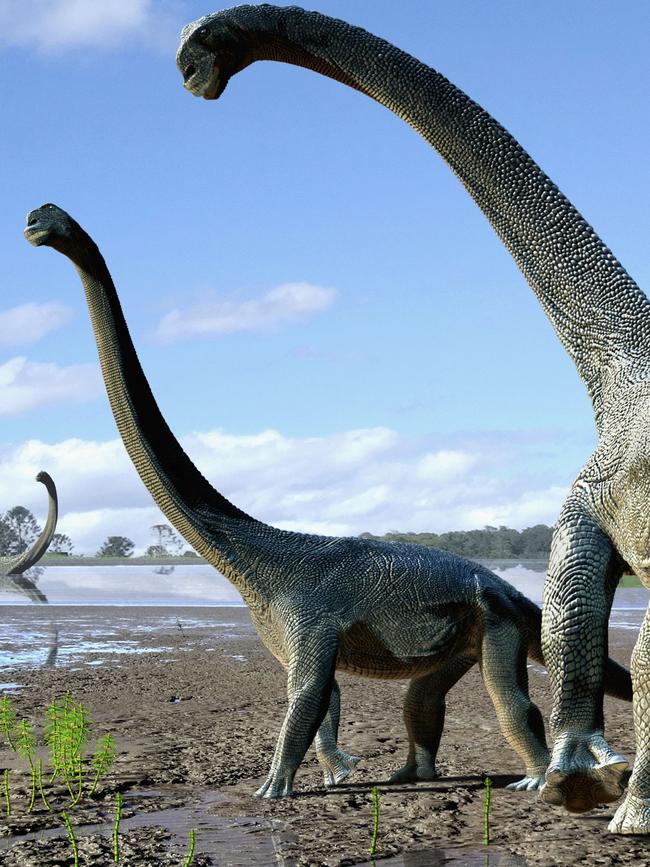 The study looked at how large sauropods such as savannasaurus supported their weight. Picture: AFP