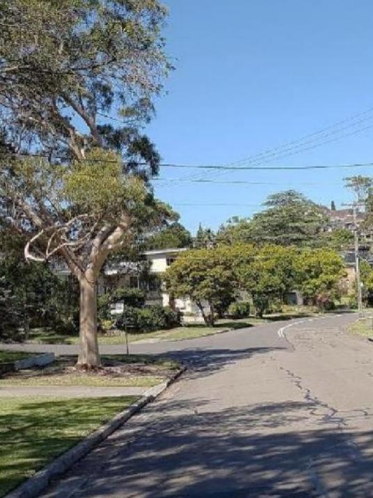 The path would have linked Chatswood to Castle Cove.