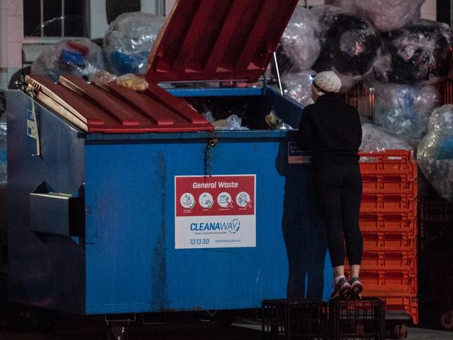 Adelaide dumpster diver Miffy retrieving food thrown out by a supermarket. Picture: Brad Fleet