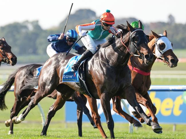 Matriarch Rose ridden by Jaylah Kennedy wins the Stow Storage Solutions Handicap at Sportsbet Sandown Hillside Racecourse on May 25, 2024 in Springvale, Australia. (Photo by Scott Barbour/Racing Photos via Getty Images)