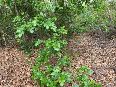 A human skeleton was discovered near the Lee Point Beach carpark.