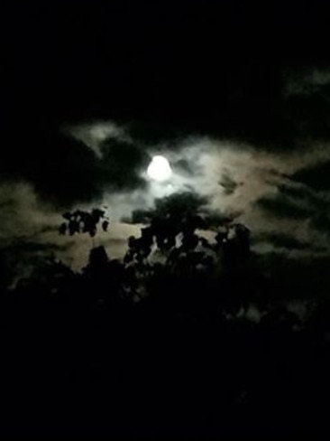 The supermoon from Berriedale. Reader’s picture: KATRINA PAILTHORPE