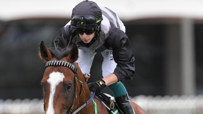 Robbie Dolan has a good book of rides at Warwick Farm on Wednesday, including Elizabeel for trainer John Sargant. Picture: AAP