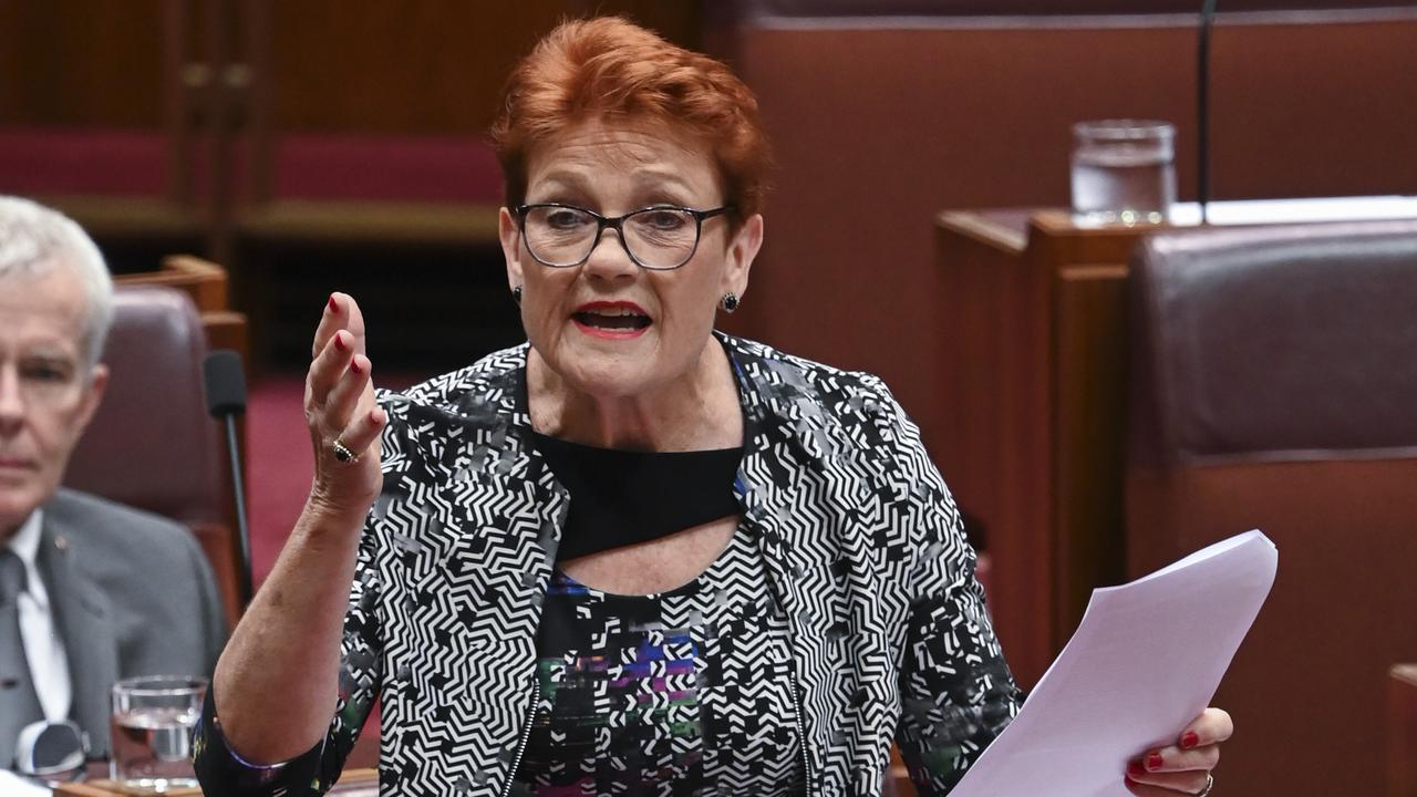 One Nation Senator Pauline Hanson. Picture: Martin Ollman/NCA NewsWire