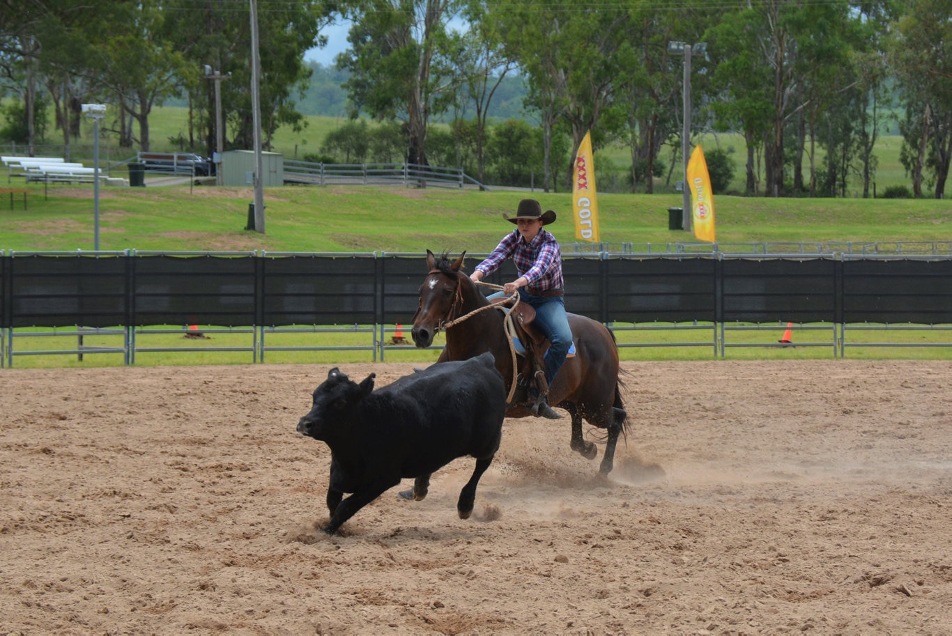Riley Curr riding in the Cooyar Campdraft at the 71st annual Cooyar Show. Picture: Kate McCormack